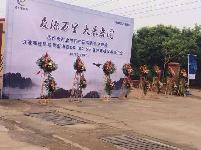 手提袋印刷定制，就選青島森宏源